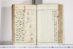明い015020020028.jpg