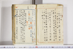 明い015020030003.jpg