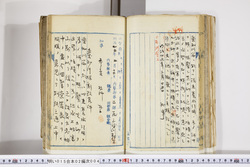 明い015020040002.jpg