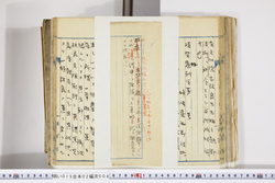 明い015020040003.jpg
