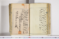 明い015020040005.jpg