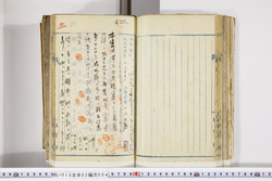 明い015020040009.jpg