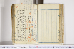 明い015020050002.jpg
