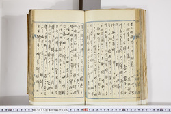 明い015020050003.jpg
