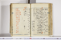 明い015020050004.jpg