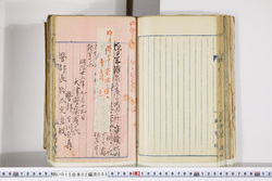 明い015020050005.jpg