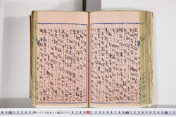 明い015020050008.jpg