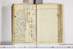 明い015020080002.jpg