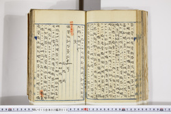 明い015020100002.jpg