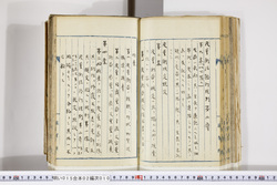 明い015020100005.jpg