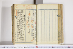 明い015020100006.jpg