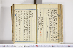 明い015020120002.jpg