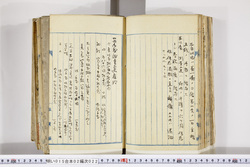 明い015020220004.jpg