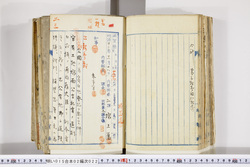 明い015020220005.jpg