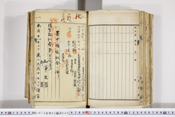 明い015030000003.jpg