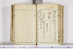 明い015030020002.jpg