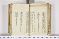 明い015040010004.jpg