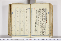 明い015040040003.jpg