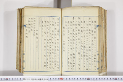 明い015040040007.jpg
