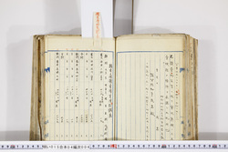明い015040040009.jpg