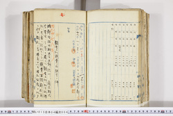 明い015040040019.jpg