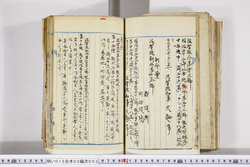 明い015050030002.jpg