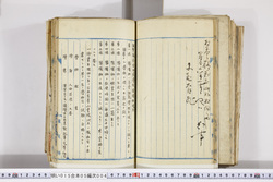明い015050040006.jpg
