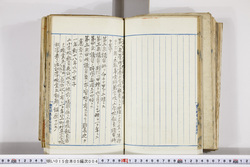 明い015050040016.jpg