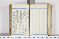 明い015050040021.jpg