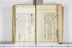 明い015050050002.jpg