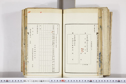 明い015050050007.jpg