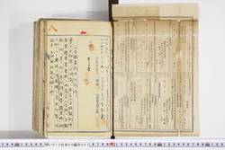 明い015050070006.jpg