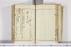明い015050080003.jpg