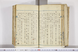 明い015050080007.jpg