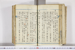 明い015050080011.jpg