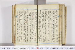 明い015050080012.jpg