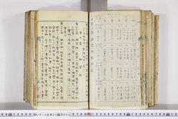 明い015050080018.jpg
