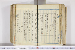 明い015050080021.jpg