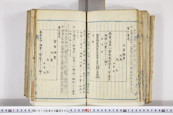 明い015050080022.jpg