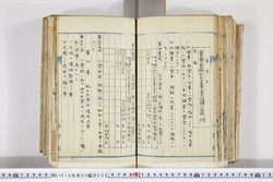 明い015050080023.jpg