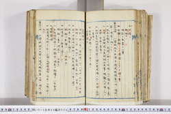 明い015050080024.jpg