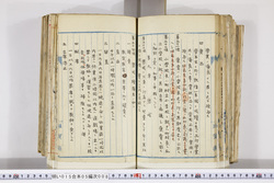 明い015050080027.jpg