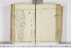 明い015050080029.jpg