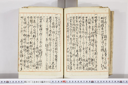 明い015050080032.jpg