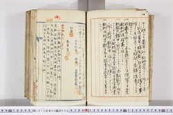 明い015050080033.jpg