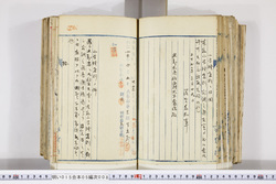 明い015050080034.jpg