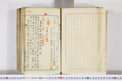 明い015050080042.jpg