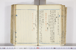 明い015050090002.jpg