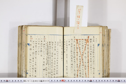 明い015050090005.jpg