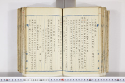 明い015050090006.jpg